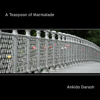 A Teaspoon of Marmalade by Ankido Darash