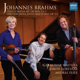 Johannes Brahms: Viola Sonatas Op. 120, Nos. 1 & 2; Trio, Op. 114 by Andras Fejér