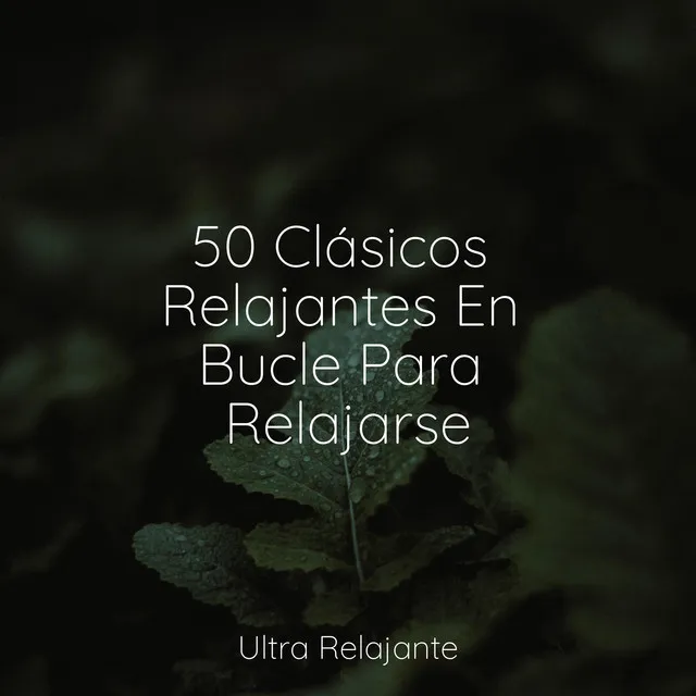 50 Clásicos Relajantes En Bucle Para Relajarse