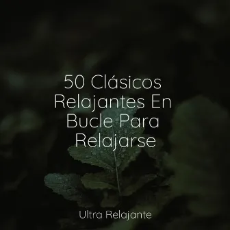 50 Clásicos Relajantes En Bucle Para Relajarse by Relajante Musica