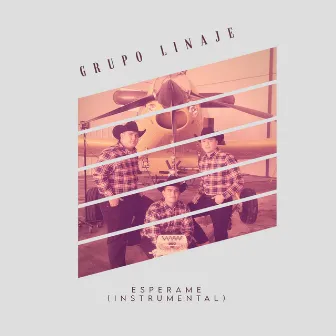 Espérame (Instrumental) by Grupo Linaje