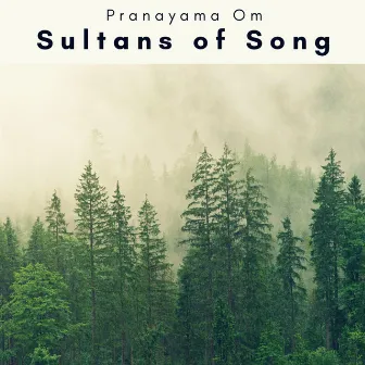 2023: Sultans of Song by Pranayama Om