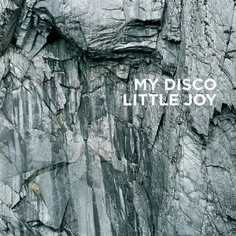 Little Joy by MY DISCO