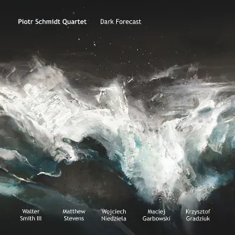 Dark Forecast by Piotr Schmidt Quartet