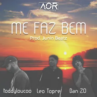 Me Faz Bem by Leo Topre