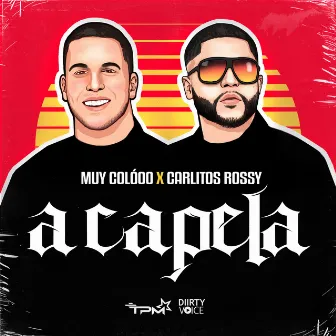 ACAPELA by Muy Coló