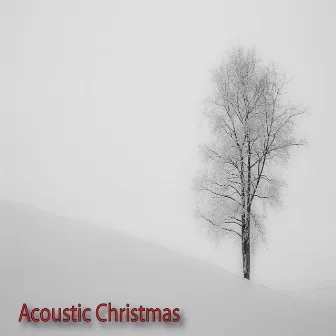 Acoustic Christmas Music Mandolin Christmas Relaxing Christmas by Unknown Artist