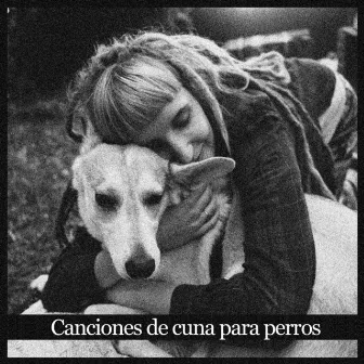 Canciones de cuna para perros – Música de fondo tranquila para piano, canciones relajantes para mascotas, ansiolítico, sueño profundo by RW Cachorro durmiendo