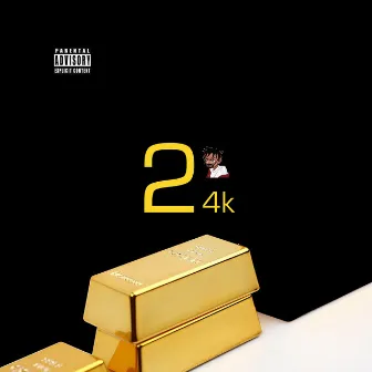 TwentyFourk by Mylo Rico