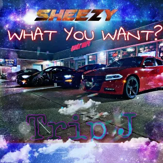 What You Want? by SPR Sheezy