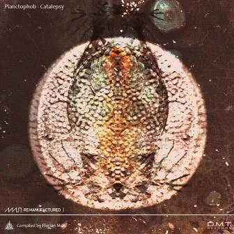 Catalepsy Lp - Remanufactured by Planctophob