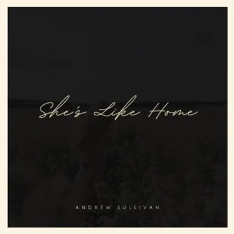 She's Like Home by Andrew Sullivan