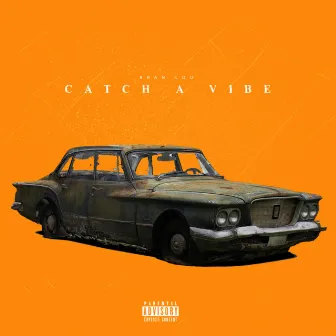 Catch A Vibe by Bran Lou