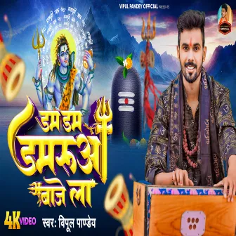 Dam Dam Damarua Baje La (Bhakti) by Vipul Pandey