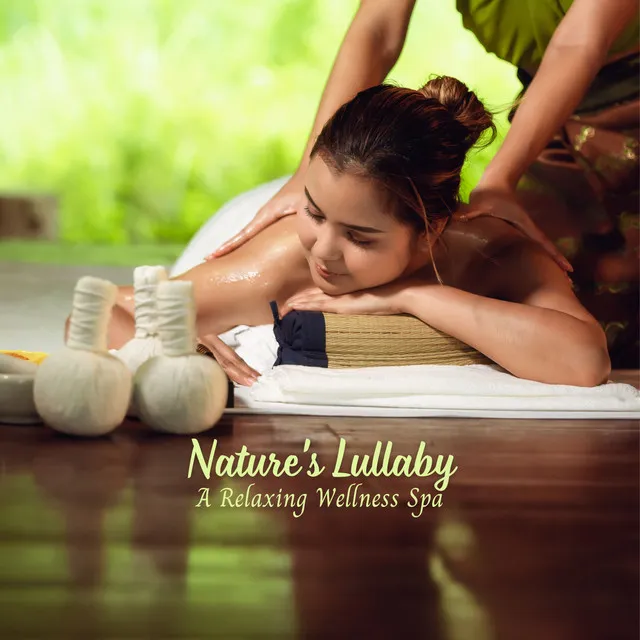 Nature's Lullaby: A Relaxing Wellness Spa