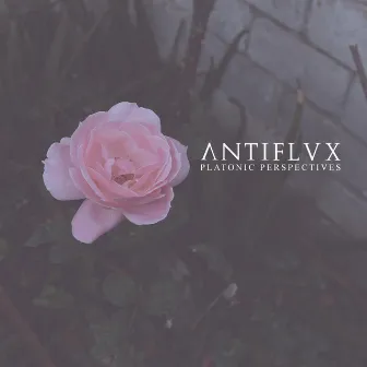 Platonic Perspectives (2020 Brazilian Edition) by Antiflvx