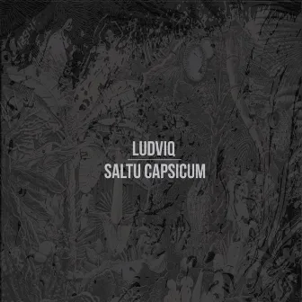 Saltu Capsicum by Ludviq