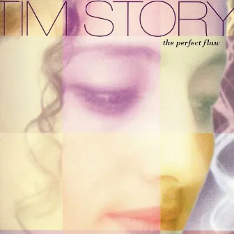 The Perfect Flaw by Tim Story