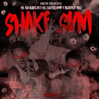 Shake Sum by Ysl KashLaFlexx