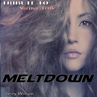 Meltdown: Tribute to Stromae, Lorde by Jerry Wilson