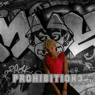 Prohibition 3 by MNK