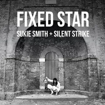 Fixed Star by Sukie Smith