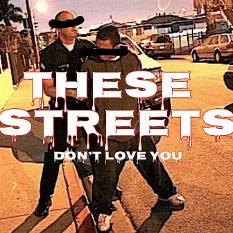 These Streets Don't Love YOU by Shady Loks