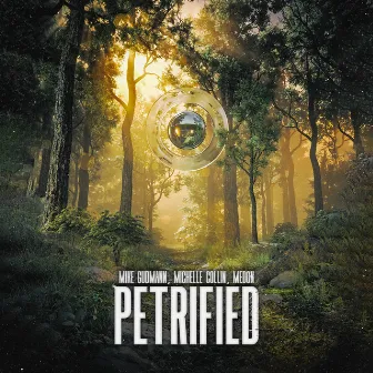 Petrified by Michelle Collin