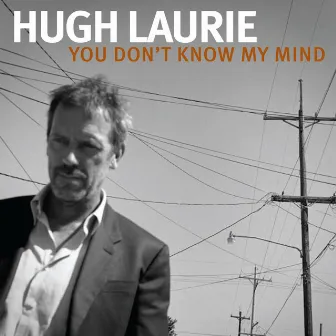 You Don't Know My Mind by Hugh Laurie