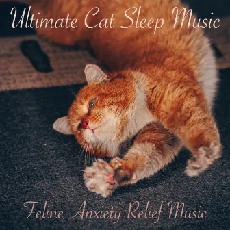 Ultimate Cat Sleep Music: Feline Anxiety Relief Music by Cat Music Therapy