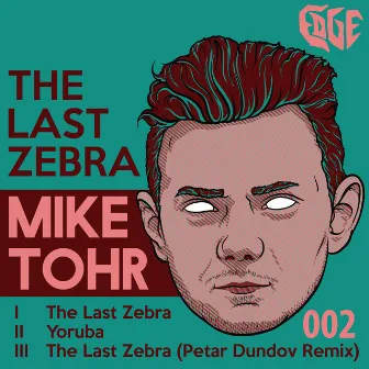 The Last Zebra by Mike Tohr