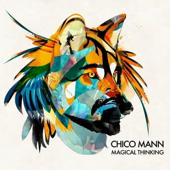 Magical Thinking by Chico Mann