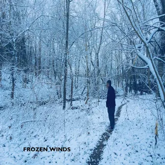 Frozen Winds by Dom B