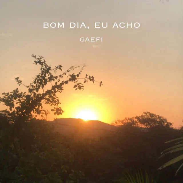 bom dia, eu acho