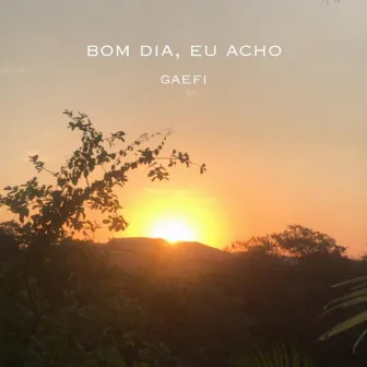 bom dia, eu acho by gaefi