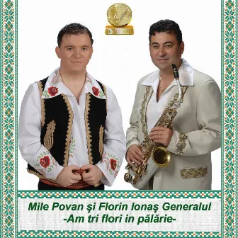 Am Tri Flori In Palarie by Mile Povan