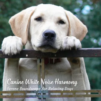 Canine White Noise Harmony: Serene Soundscape for Relaxing Dogs by Dog Music Radio