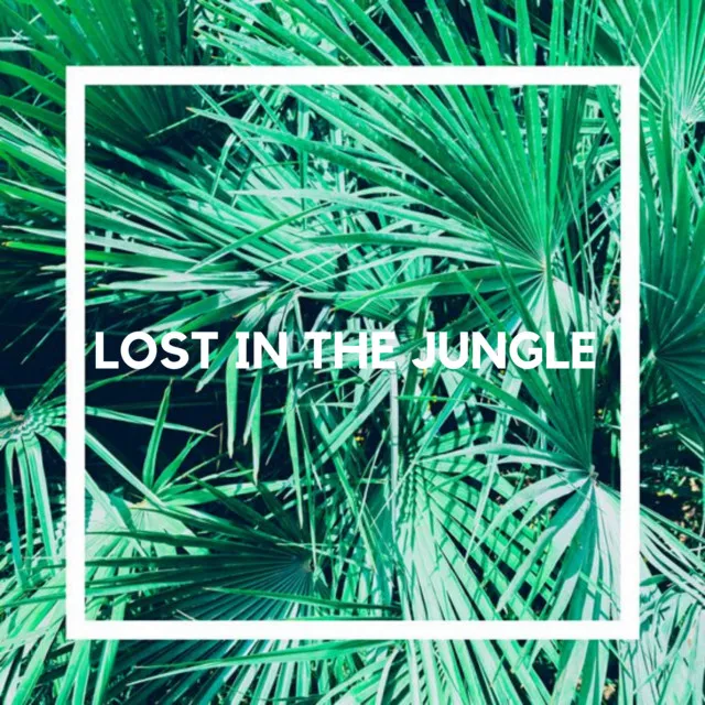 Lost In The Jungle