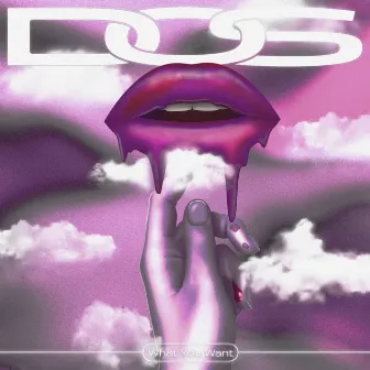 What You Want by DOS