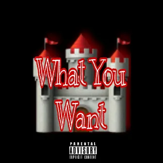 What You Want by Trppy