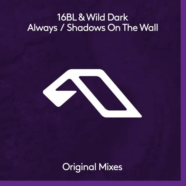 Shadows On The Wall - Wild Dark Mix