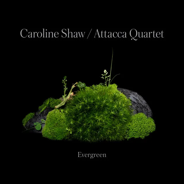 Caroline Shaw: Evergreen