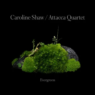 Caroline Shaw: Evergreen by Caroline Shaw