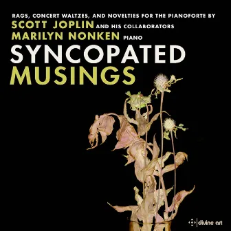 Syncopated Musings by Marilyn Nonken