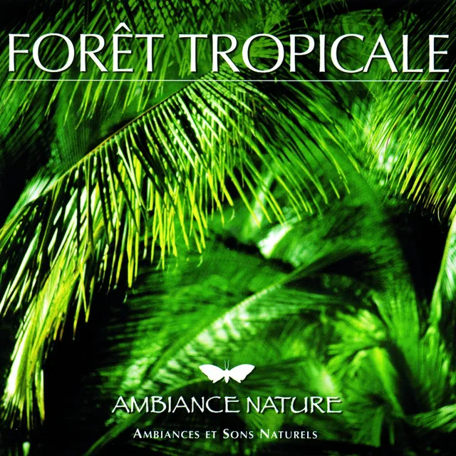 Ambiance Foret tropicale 1