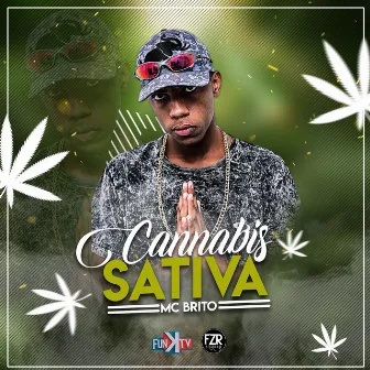 Cannabis Sativa by MC Brito