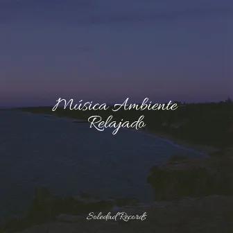 Música Ambiente Relajado by Relajación Meditar Academie