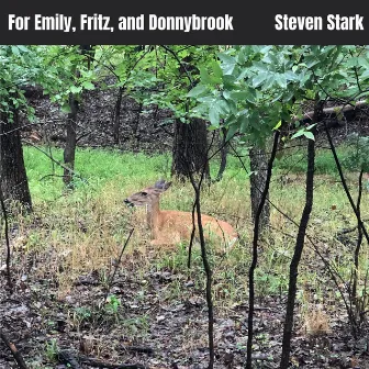 For Emily, Fritz, And Donnybrook by Steven Stark