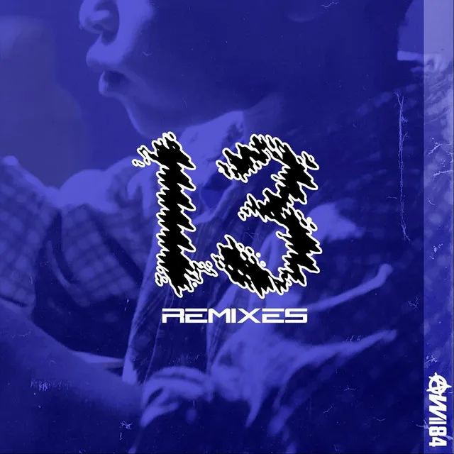 13 Remixes