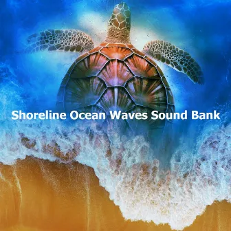 Shoreline Ocean Waves Sound Bank by Ocean Bank